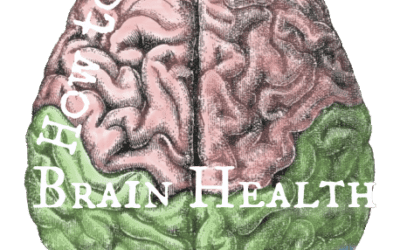 Eat for Brain Health: How to Nourish Your Noggin