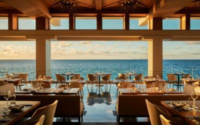 How to Eat Out at Restaurants: 7 Tips for Dining Out