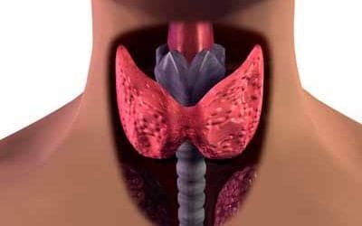 Hashimoto’s Thyroiditis: Causes & Treatments