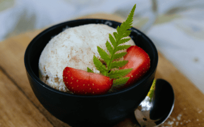 Instant Vegan Ice Cream “Nice Cream”