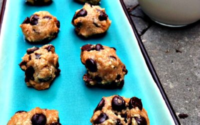 Chocolate Chip Cookie Dough Bites (Raw, Paleo, Vegan)