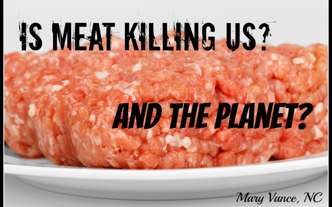 Is Meat Killing Us (and the Planet)?