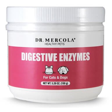 Digestive Enzymes For Pets