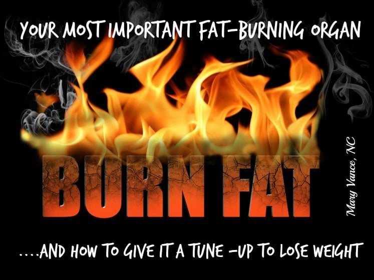 Fix Your Most Important Fat Burning Organ