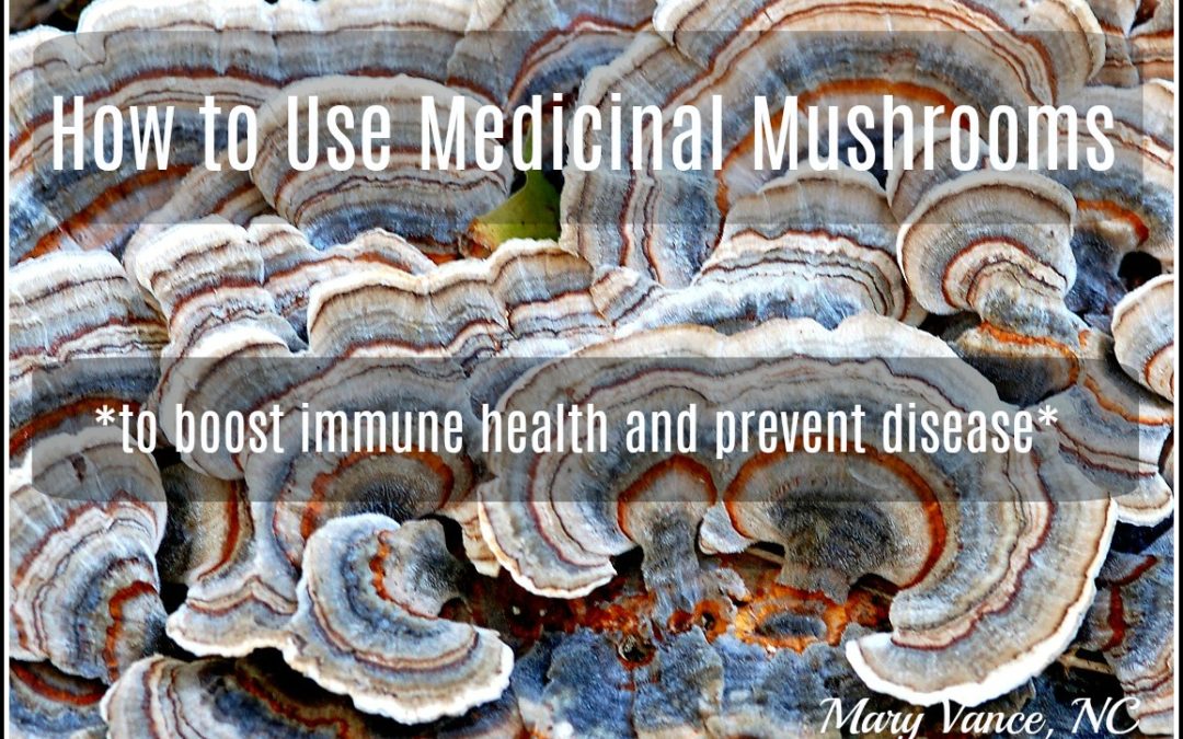 A Guide to Medicinal Mushrooms