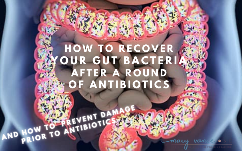 How to Recover Your Gut Bacteria after Antibiotics